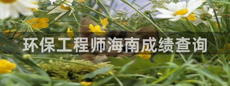 彩名堂一直不出结果怎么回事呀：环保工