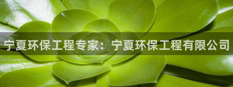彩名堂用不了：宁夏环保工程专家：宁夏