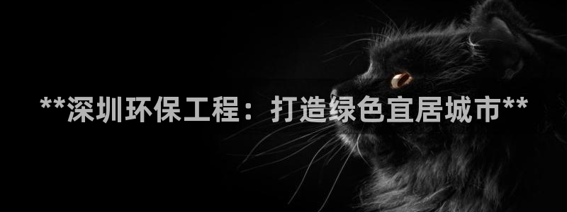 正规彩名堂官网计划：**深圳环保工程