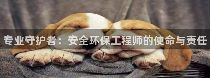 彩名堂.apk：专业守护者：安全环保