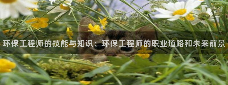 彩名堂预测免费计划：环保工程师的技能