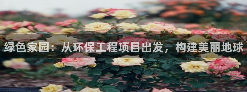 彩名堂怎么用不了了：绿色家园：从环保