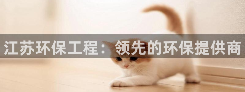 彩名堂下载官网：江苏环保工程：领先的