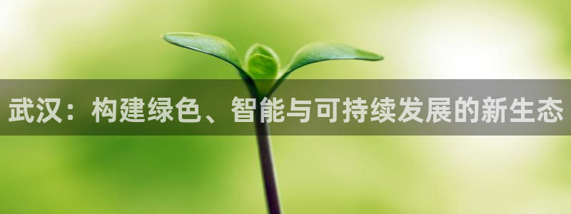 彩名堂怎么不能用了：武汉：构建绿色、