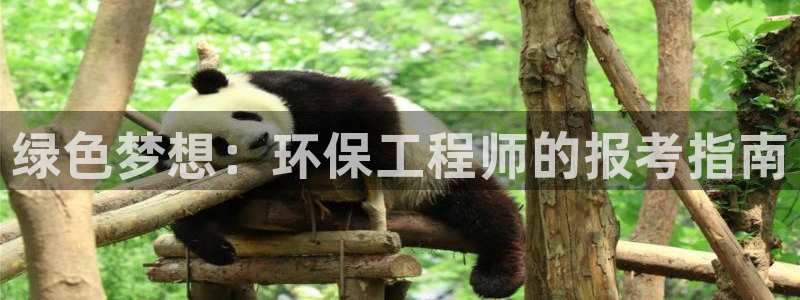 彩名堂计划官网客户端：绿色梦想：环保