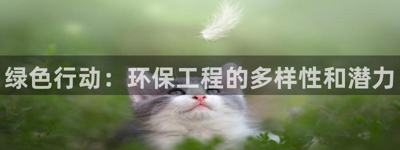 彩名堂怎么不能用了：绿色行动：环保工