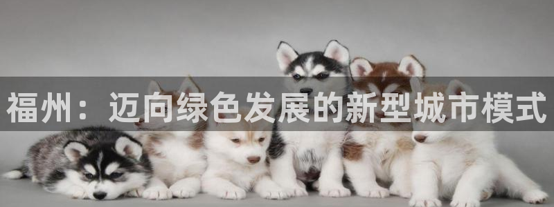 下载彩名堂预测计划软件安装：福州：迈