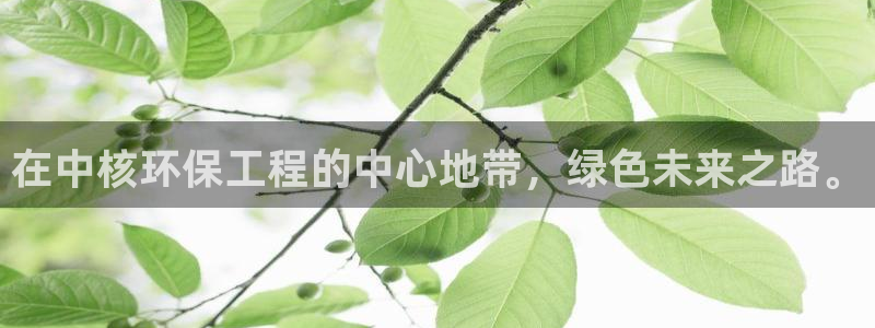 彩名堂计划怎么打不开了：在中核环保工