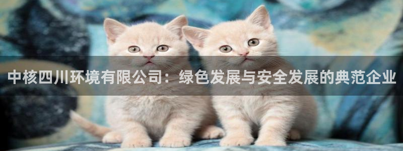 彩名堂免费计划亮点：中核四川环境有限公司：绿色发展与安全发展
