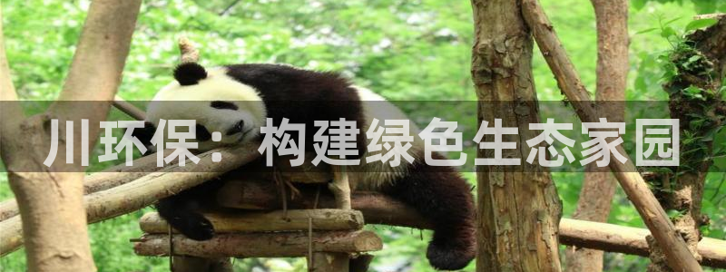 彩名堂计划怎么看：川环保：构建绿色生