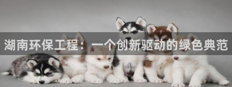 彩名堂怎么跟计划才不连挂：湖南环保工