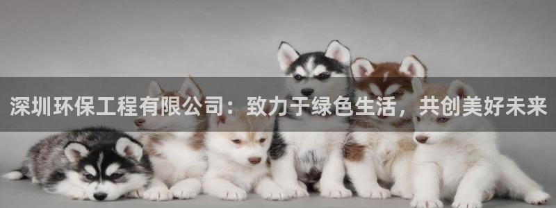 谁知道彩名堂网站是多少：深圳环保工程