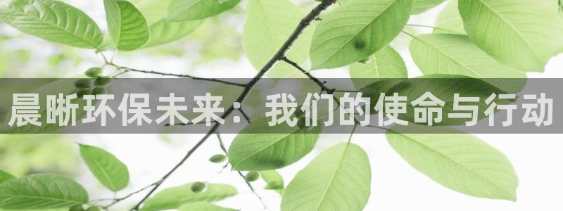 彩名堂预测免费计划怎么看的：晨晰环保