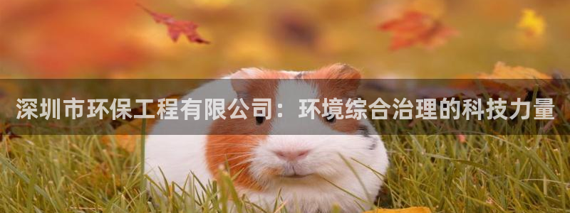 彩名堂移动客户端是什么：深圳市环保工