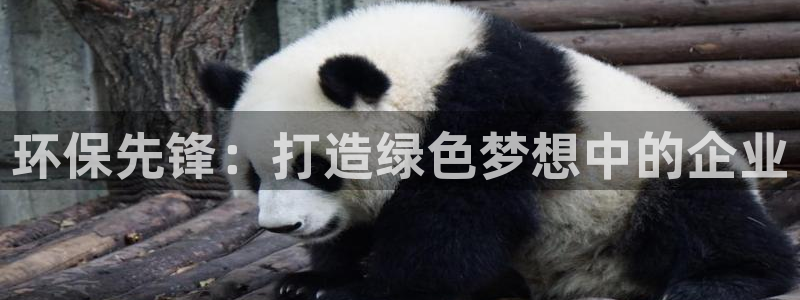 彩名堂客户端是永久免费吗安全吗知乎：环保先锋：打造绿色梦想中