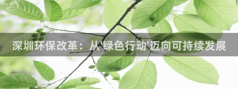 彩名堂官网2：深圳环保改革：从\'绿