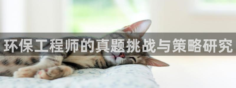 彩名堂4.3：环保工程师的真题挑战与策略研究