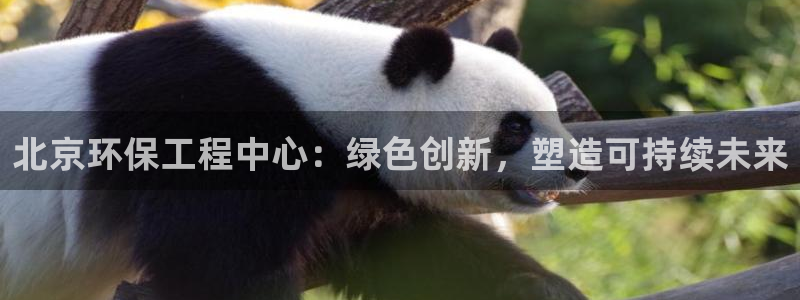 彩名堂人工计划怎么找不到下载了?：北