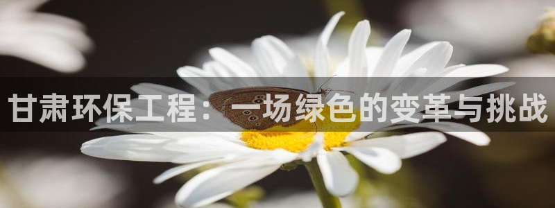 彩名堂：甘肃环保工程：一场绿色的变革与挑战