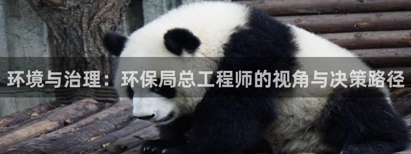 彩名堂人工计划客户端官网：环境与治理