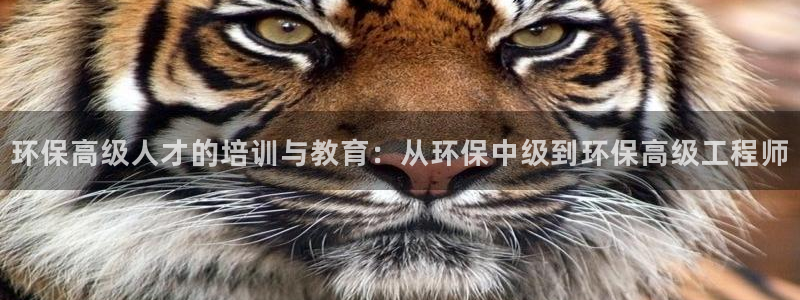 彩名堂计划技巧：环保高级人才的培训与教育：从环保中级到环保高