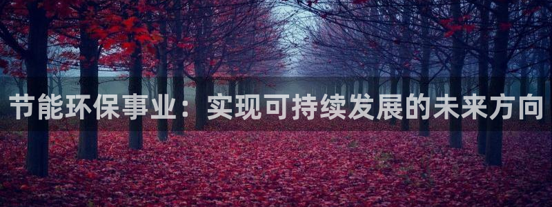 彩名堂官网计划怎么下载到手机：节能环保事业：实现可持续发展的
