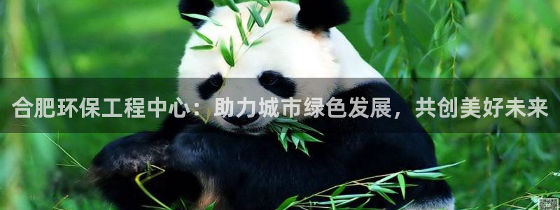 彩名堂怎么跟计划才不连挂呢：合肥环保
