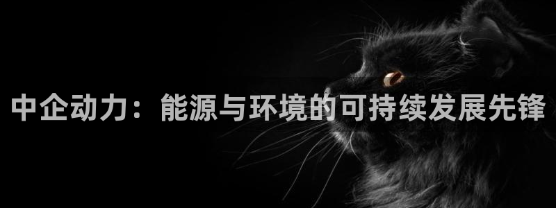 彩名堂怎么跟计划才不连挂在一起：中企