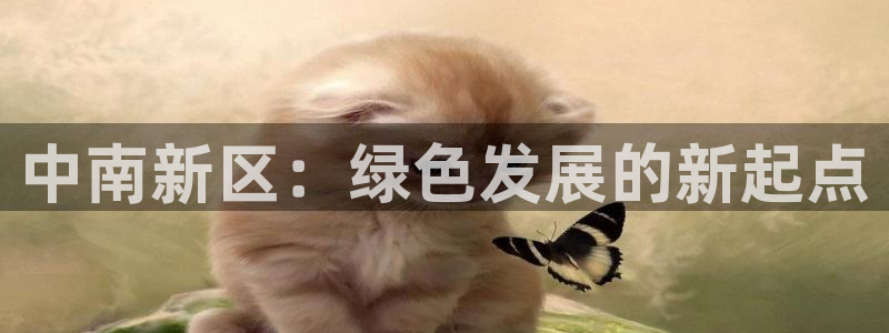 彩名堂客户端是永久免费吗安全吗：中南