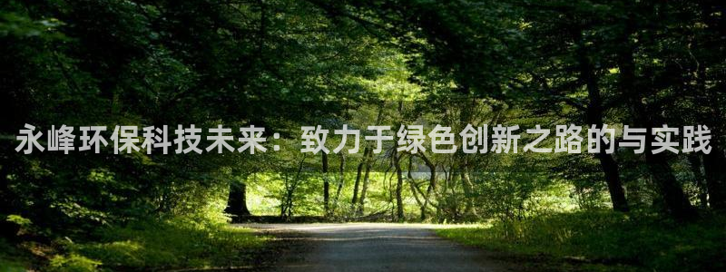彩名堂怎么选稳定计划：永峰环保科技未