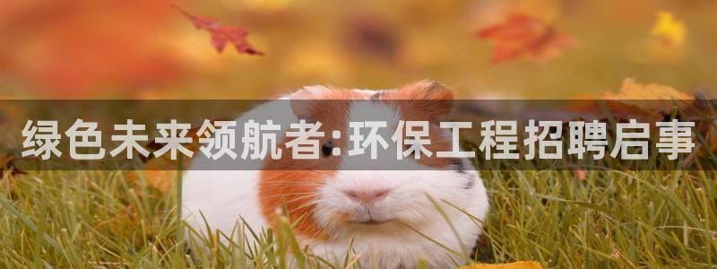 彩名堂官网：绿色未来领航者:环保工程