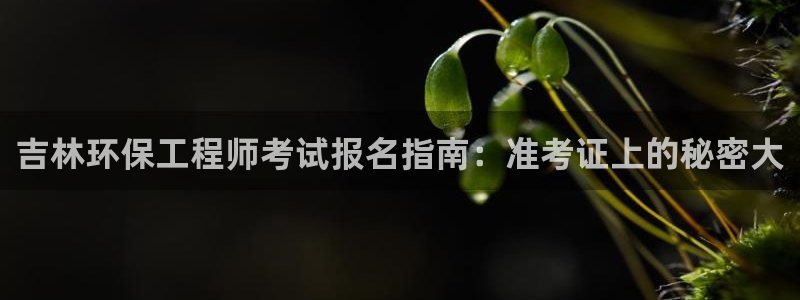 彩名堂下载官网：吉林环保工程师考试报