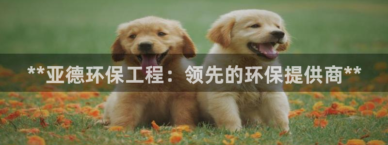 彩名堂预测免费计划app-彩名堂预测