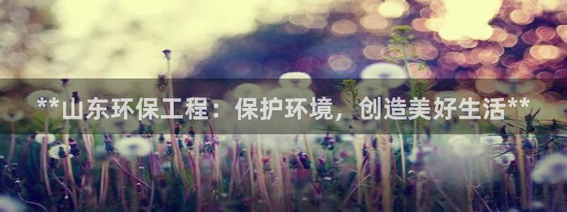 正规彩名堂官网计划：**山东环保工程