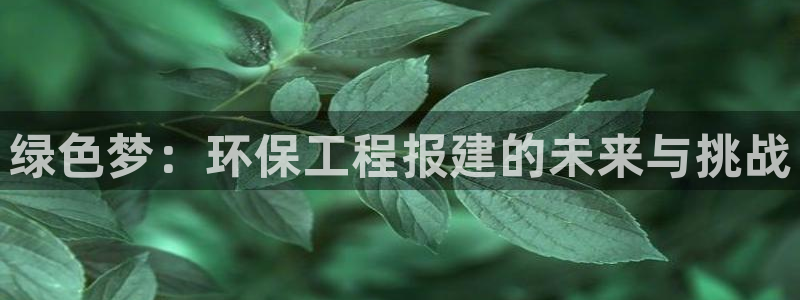 彩名堂预测软件与分析软件区别：绿色梦