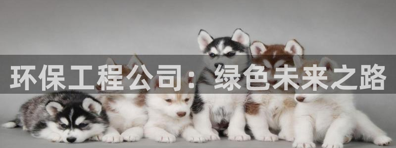 彩名堂改名稻草人了吗：环保工程公司：