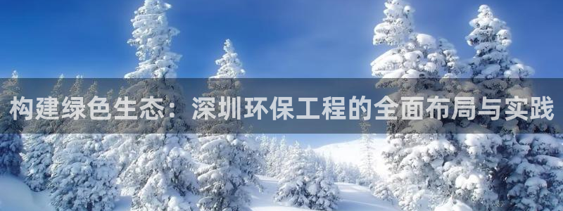 彩名堂人工计划怎么找不到下载了?：构