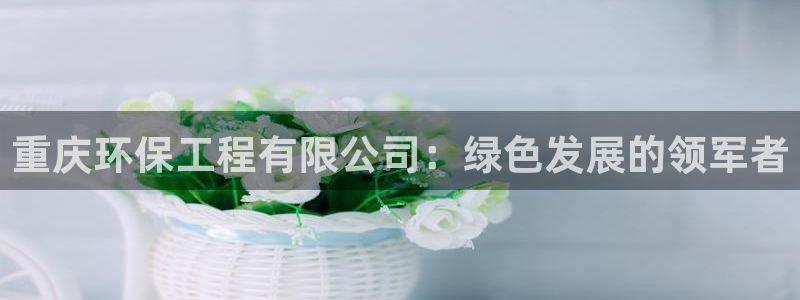 彩名堂手机版官网：重庆环保工程有限公