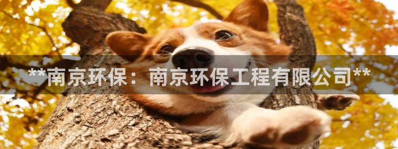 彩名堂是什么：**南京环保：南京环保