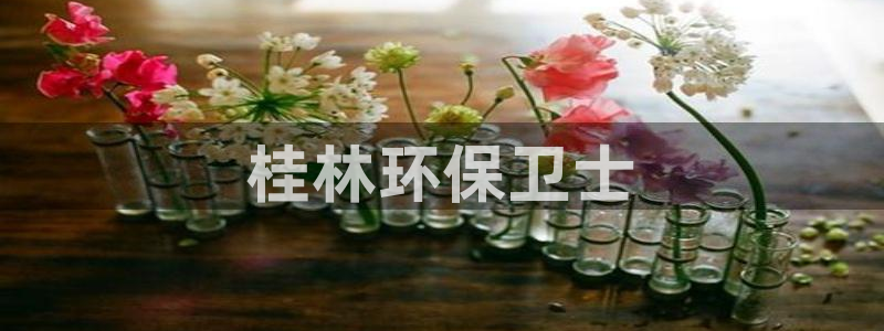 彩名堂二维码：桂林环保卫士