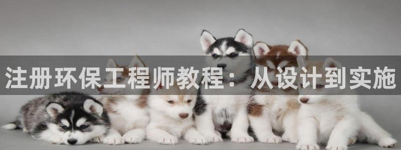 彩名堂01计划：注册环保工程师教程：