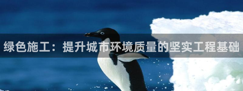 彩名堂怎么用不输：绿色施工：提升城市环境质量的坚实工程基础
