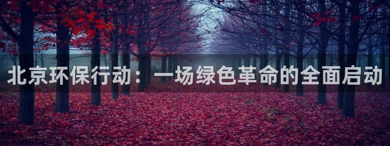 彩名堂手机客户端怎么进不去了：北京环保行动：一场绿色革命的全
