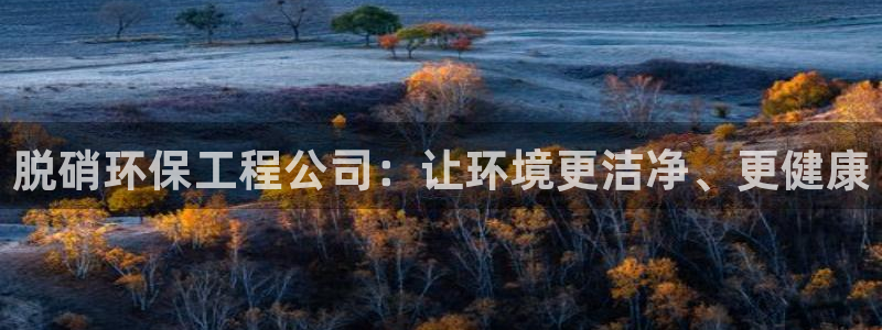 彩名堂和01计划哪个好：脱硝环保工程