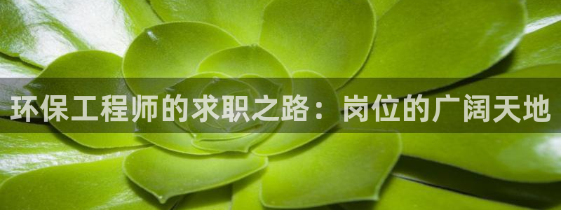 彩名堂苹果客户端怎么下载：环保工程师