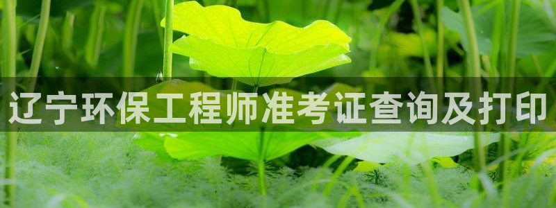 彩名堂.netnet：辽宁环保工程师