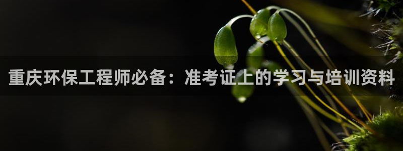 彩名堂人工计划客户端官网：重庆环保工程师必备：准考证上的学习与培训资料
