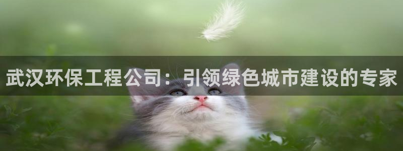 彩名堂到底怎么看,一跟就挂：武汉环保