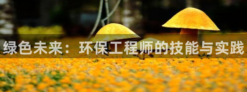 彩名堂官网计划01：绿色未来：环保工