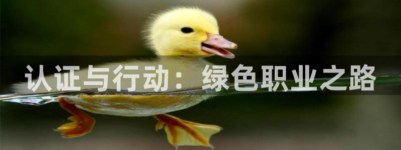 彩名堂人工预测免费计划：认证与行动：